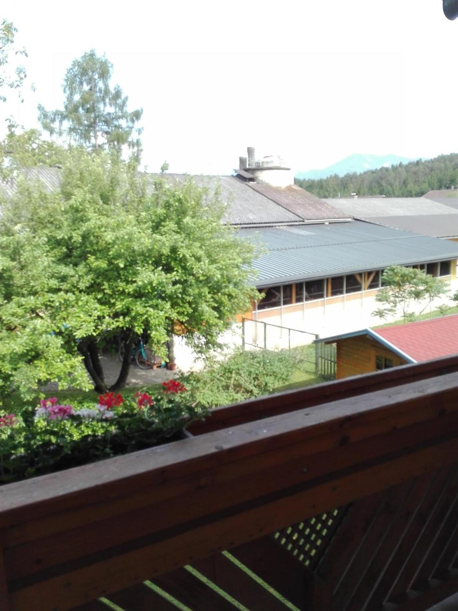 Bauernhof-Pension Puschnikhof Unternarrach Εξωτερικό φωτογραφία